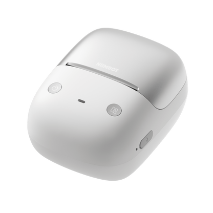 Niimbot B21 PRO 
