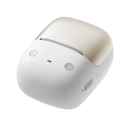 Niimbot B21 PRO 